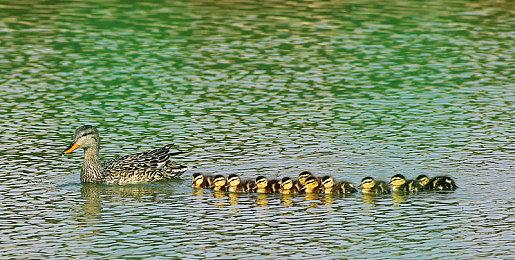 《幽灵线：东京》中字发售预告 直面未知、拯救东京